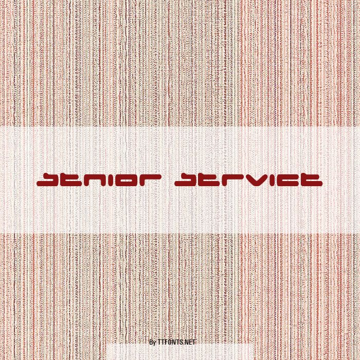 Senior Service example